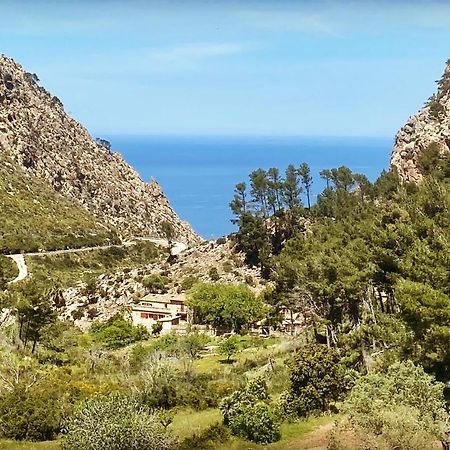 Finca Ses Fontanelles Andratx Eksteriør billede
