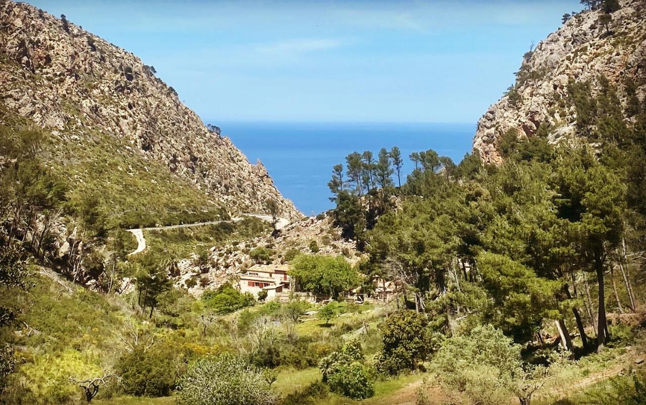 Finca Ses Fontanelles Andratx Eksteriør billede