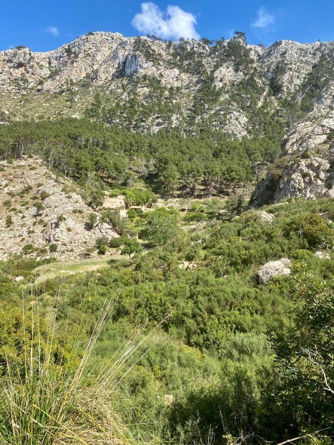 Finca Ses Fontanelles Andratx Eksteriør billede