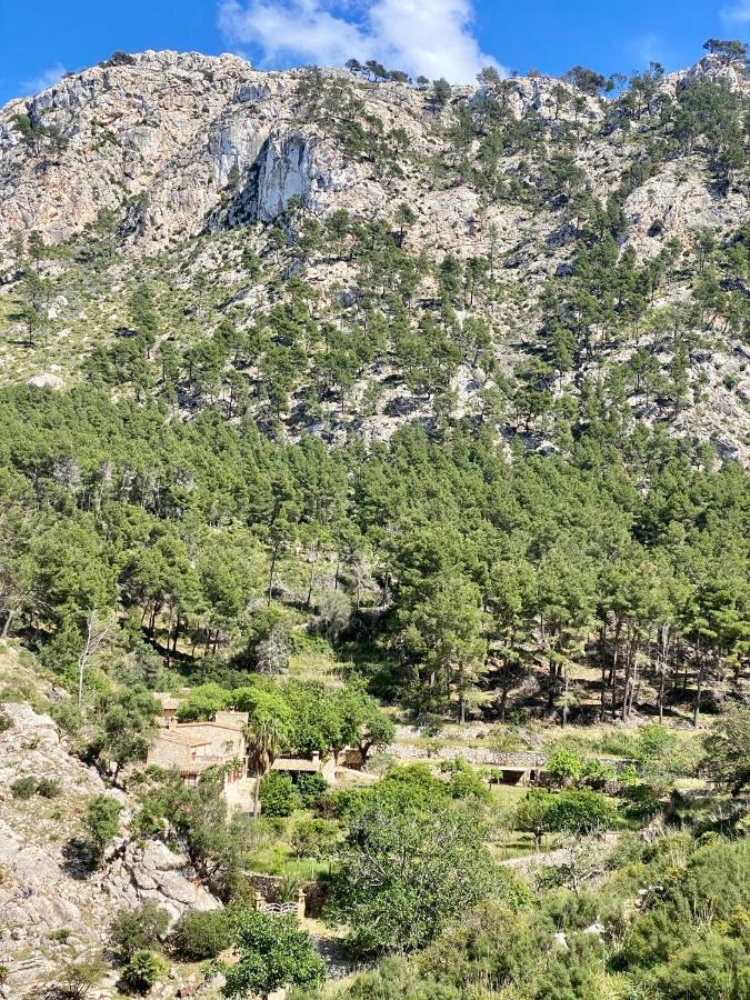 Finca Ses Fontanelles Andratx Eksteriør billede