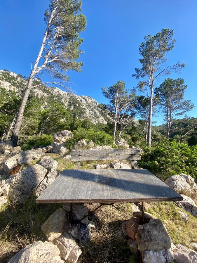 Finca Ses Fontanelles Andratx Eksteriør billede