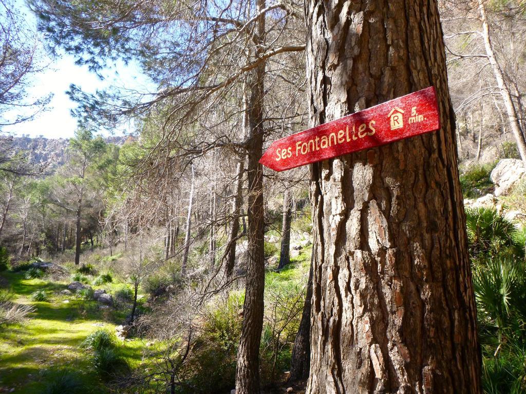 Finca Ses Fontanelles Andratx Eksteriør billede