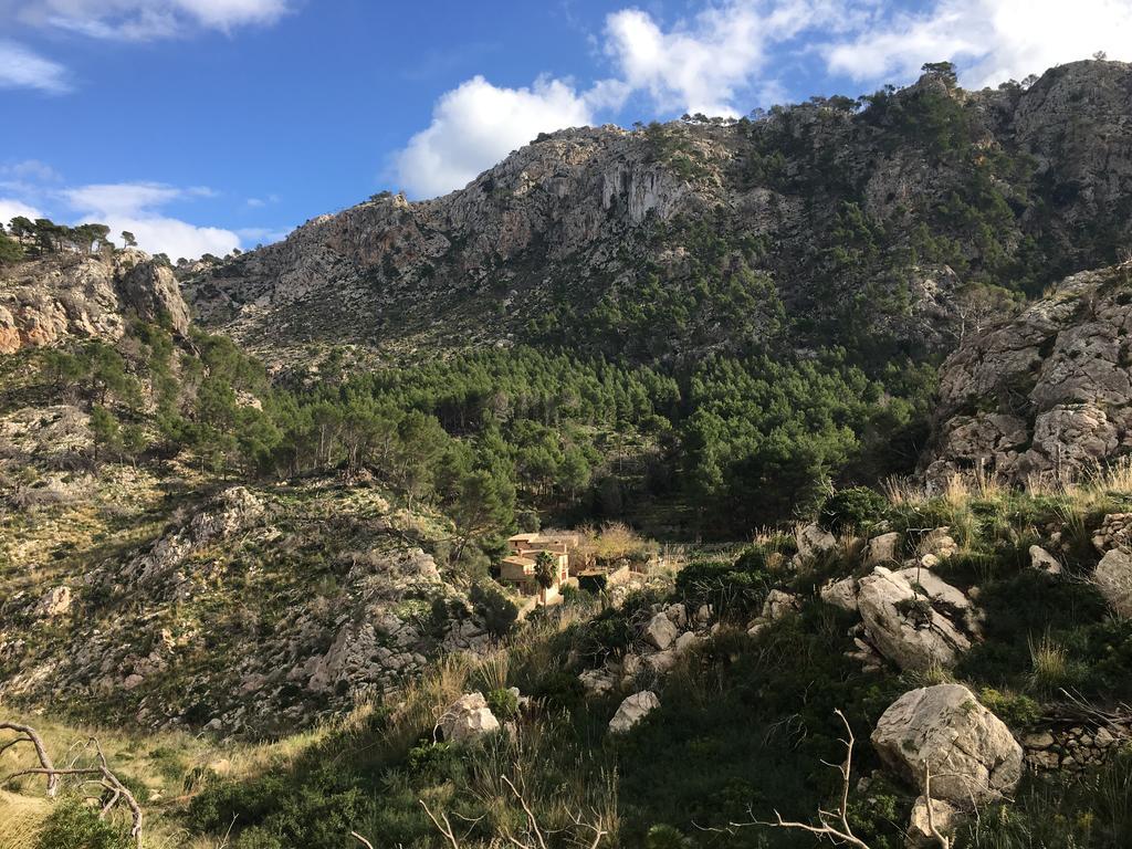 Finca Ses Fontanelles Andratx Eksteriør billede