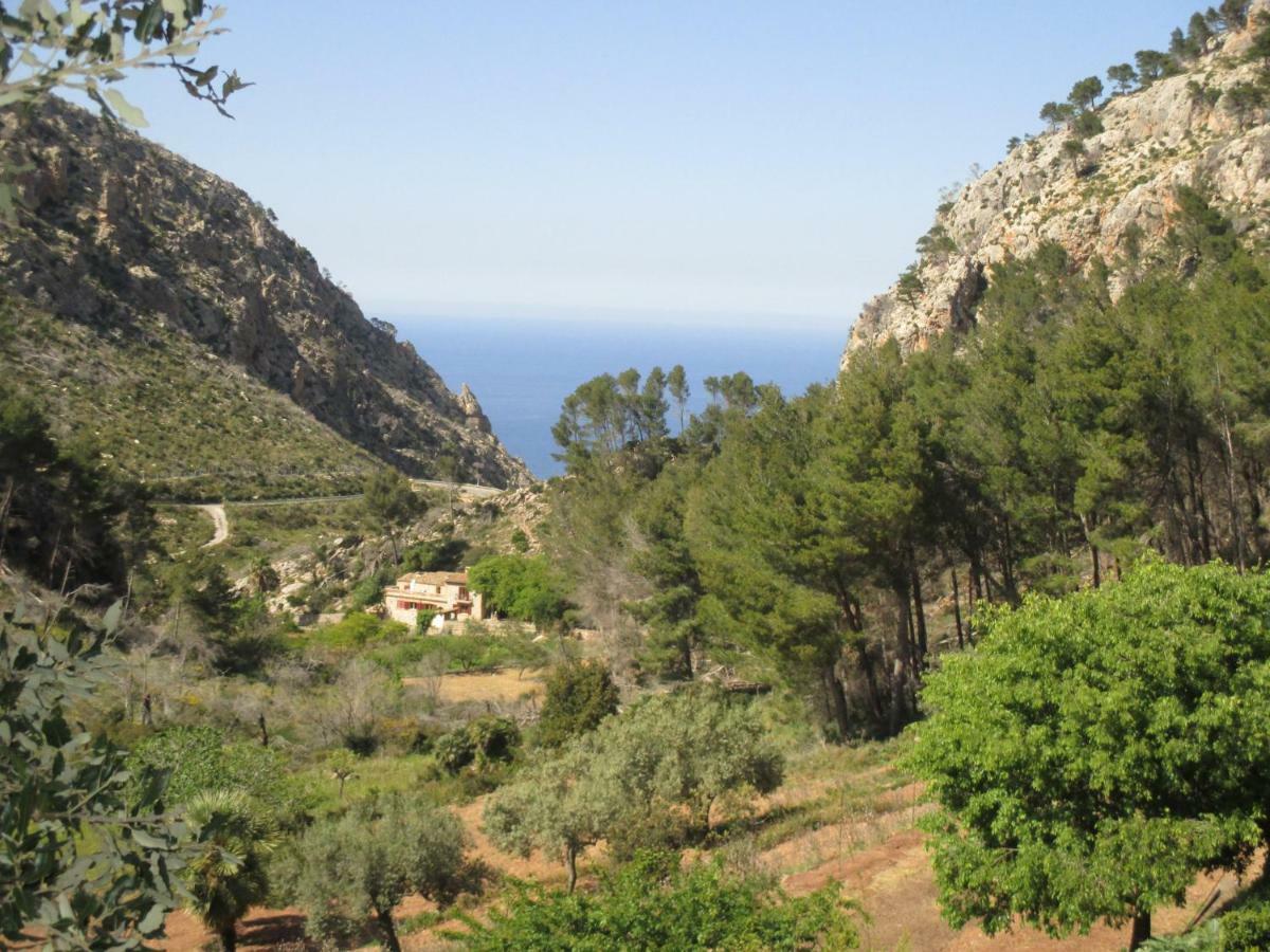 Finca Ses Fontanelles Andratx Eksteriør billede