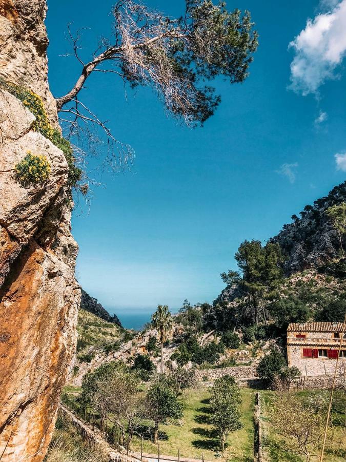 Finca Ses Fontanelles Andratx Eksteriør billede