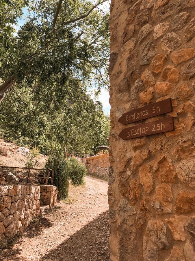 Finca Ses Fontanelles Andratx Eksteriør billede